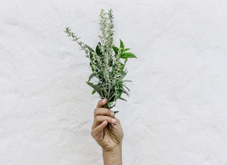 Wellness Ingredients to Question if Being Sustainable is Important to You