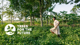 Trees for the Future forest garden