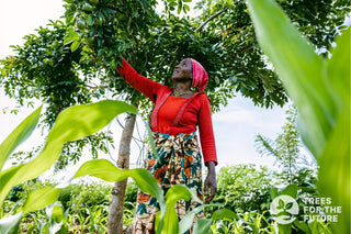 Earth Month Conversation with Apoterra's Founder