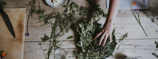  tulsi essential oil