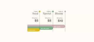 Chart showing tiered pricing system with points required for each tier on a white background.
