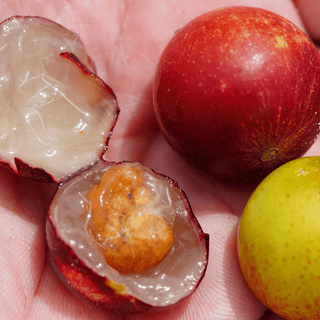 Camu Camu fruit, whole and sliced, showing the pulp and seed.