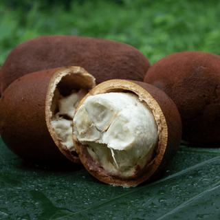 Cupuacu fruit, whole and cut open, showing white pulp