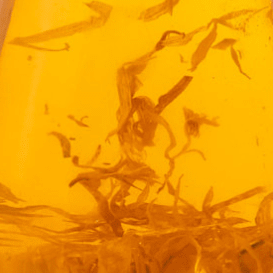 Jojoba oil in beaker with ingredients