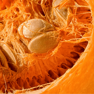 Close-up of pumpkin pulp and seeds.