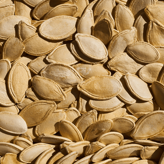 Close-up of roasted pumpkin seeds