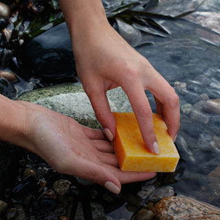 Hands holding pumpkin soap bar