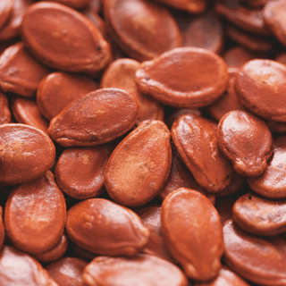 Close-up of watermelon seeds