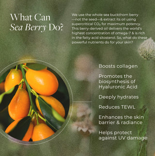 Apoterra Holy Grail Duo boosts collagen, deeply hydrates, enhances skin barrier & skin radiance while helping to protect against uv damage